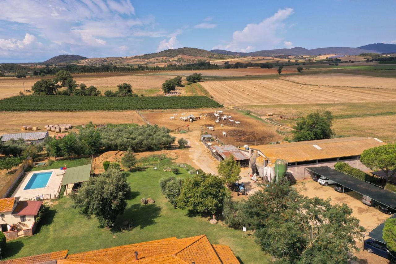 Agriturismo Al Girasole Сан-Донато Екстер'єр фото