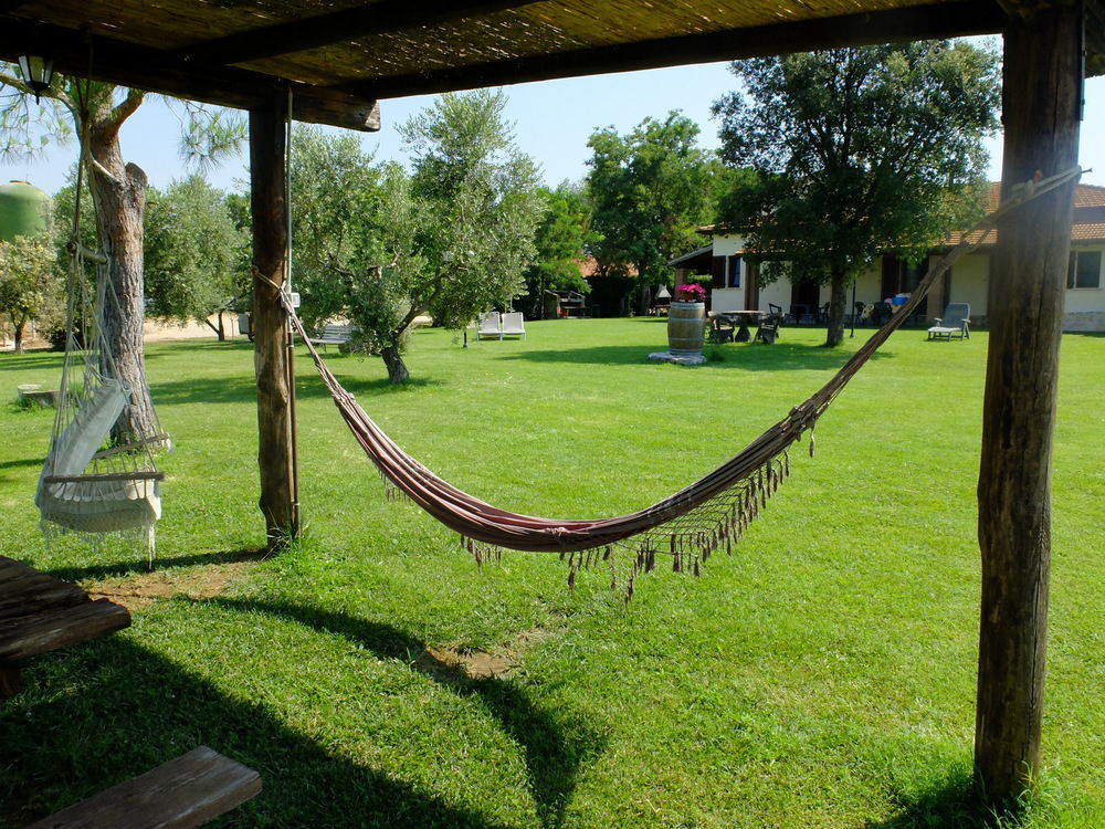 Agriturismo Al Girasole Сан-Донато Екстер'єр фото